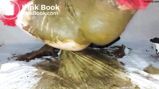 Scat girl - video 52