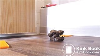 Elle leche sa merde sur ces pieds