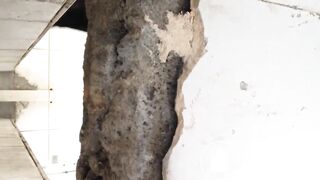 Peeping through the excretion of female toilet