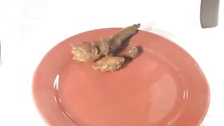 She Blonde Big Shit Poo in plate