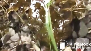 japanese public shit