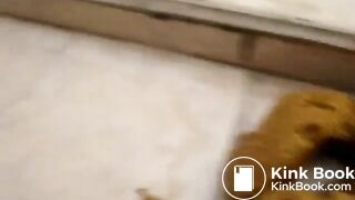 Scat474