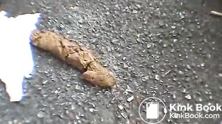 Japanese good poop 3