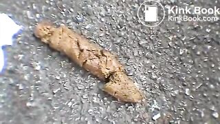 Japanese good poop 3