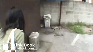 Japanese good poop 3