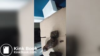 Mobile Phone Poop Quickie.Enthusiast. - video 3