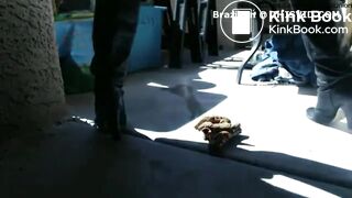 KKush Pooping Supercut