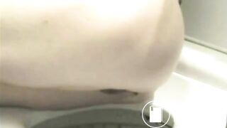 Darby has diarrhea in toilet