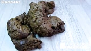 Scat394r