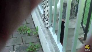 Pretty japanese girls shitting