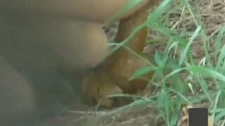 japanese pooping outdoor