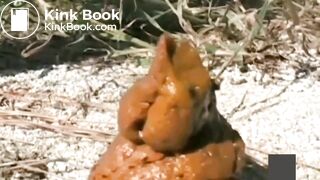 japanese pooping outdoor