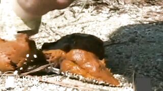 japanese pooping outdoor