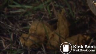 shitting on the meadow