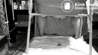 SSBBW Pig Takes A Cute Little Shit For Us