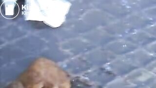 Young Cute Girl Shits