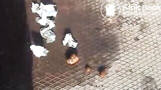 Young Cute Girl Shits