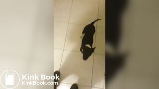 daddys girl walks with poop in her jeans