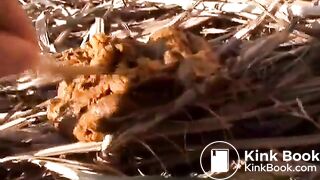 japanese pooping - video 20