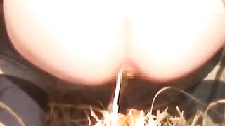 japanese pooping - video 20