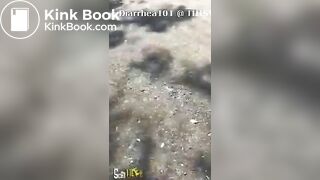 Public dump - video 3