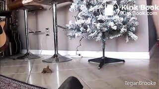 Scat297