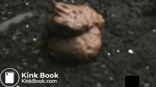 japanese pooping outdoor - video 3