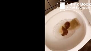 Mufasa Sister poops on toilet