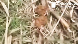 Brunette PAWG pooping in swamp