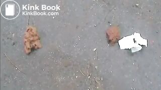 2 Girls pooping on a public road