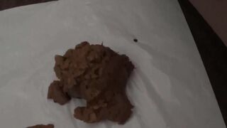 Modern Scat Stars 439 (2-Pack)