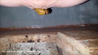 girl is pooping on outdoor toilet