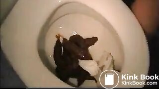 Pile of poop in toilet