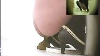 japanese scat - video 32
