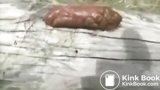 S,.. shitting ouutdoors for us