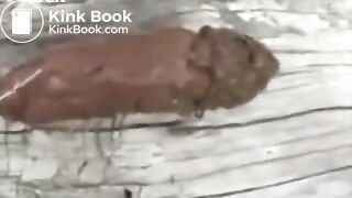 S,.. shitting ouutdoors for us