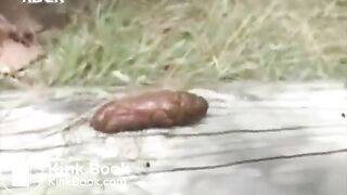 S,.. shitting ouutdoors for us