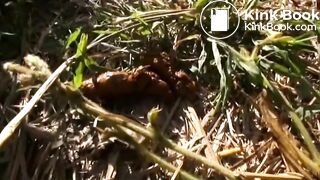 Pretty japanese girl poop on flies