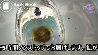 Poop_122535