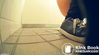 jpn toilet poop - video 2