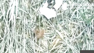 japanese pooping - video 24