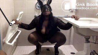 Modern Scat Stars 431 (2-Pack)