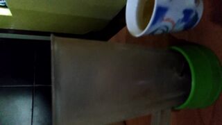 Scat Cocktail Ready To Drink