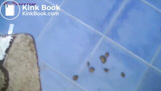 Pregnant scat - video 6