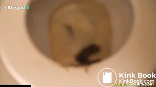 vs shitting a big pile in toilet