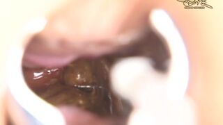 japanese vintage scat1