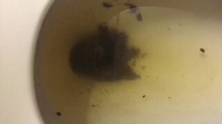 Not much but it’s something