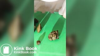 Scat girl - video 36