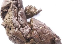 Stunning little Asian Shit Slut - video 12