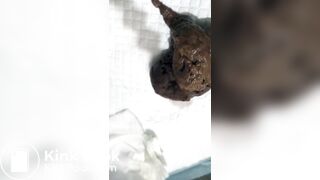 Stunning little Asian Shit Slut - video 10